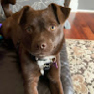 Meet your Posher, The country roost